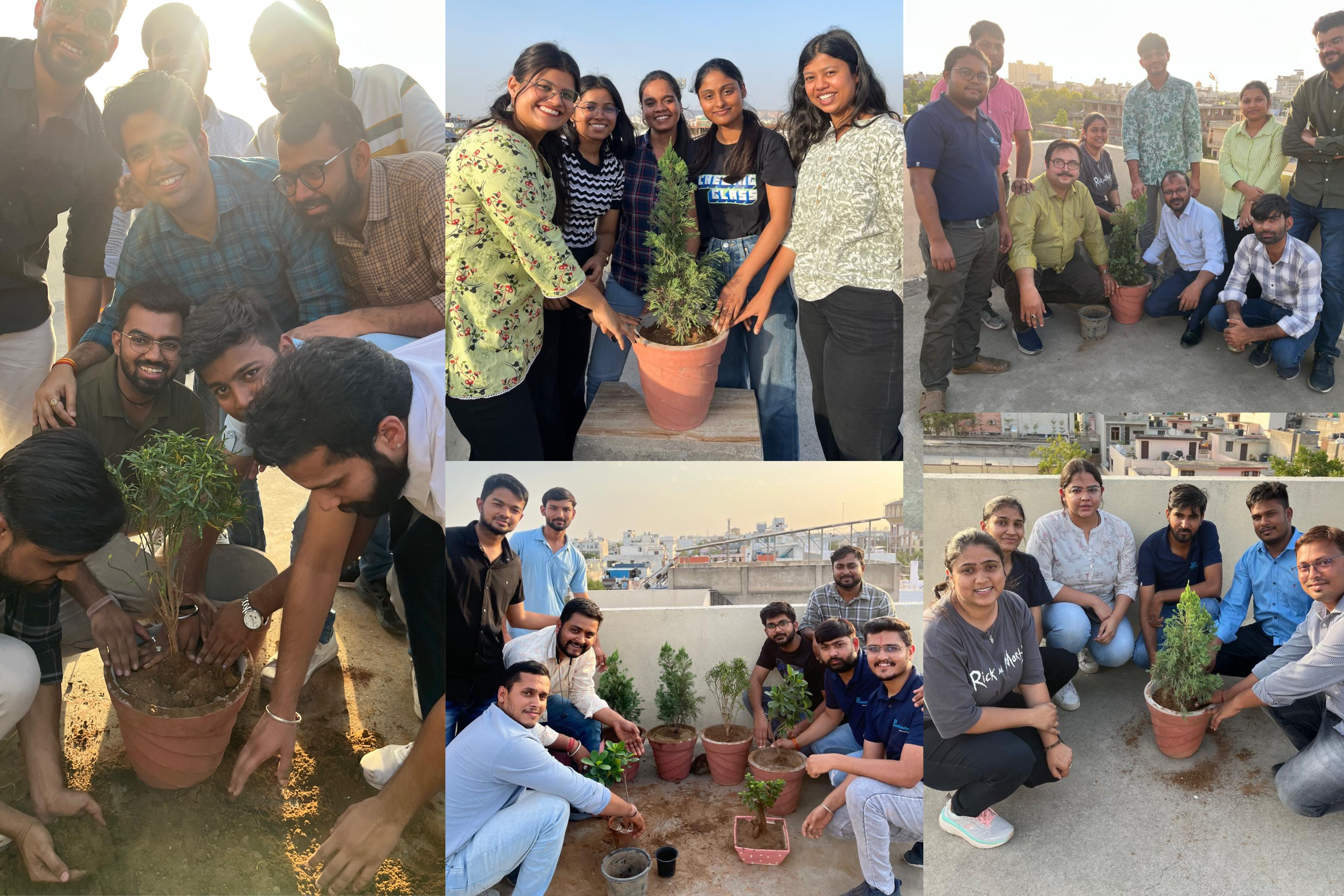 HabileLabs colleagues planting saplings on a rooftop